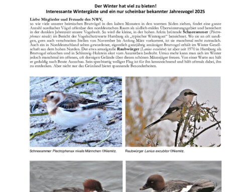 Niemitz’ Natur Newsletter 1/2025