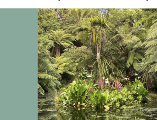 NATUR und WISSEN, Heft 22, 21. Jahrgang 2025